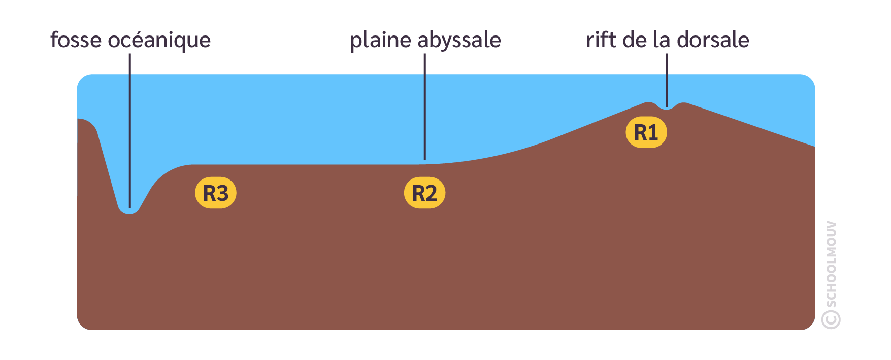 Profil bathymétrique