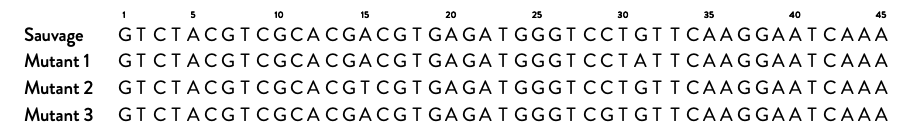 séquences d’un gène et des mutants associés