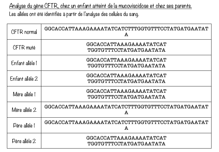 Analyse du gène CFTR chez un enfant atteint de la mucoviscidose et chez ses parents
