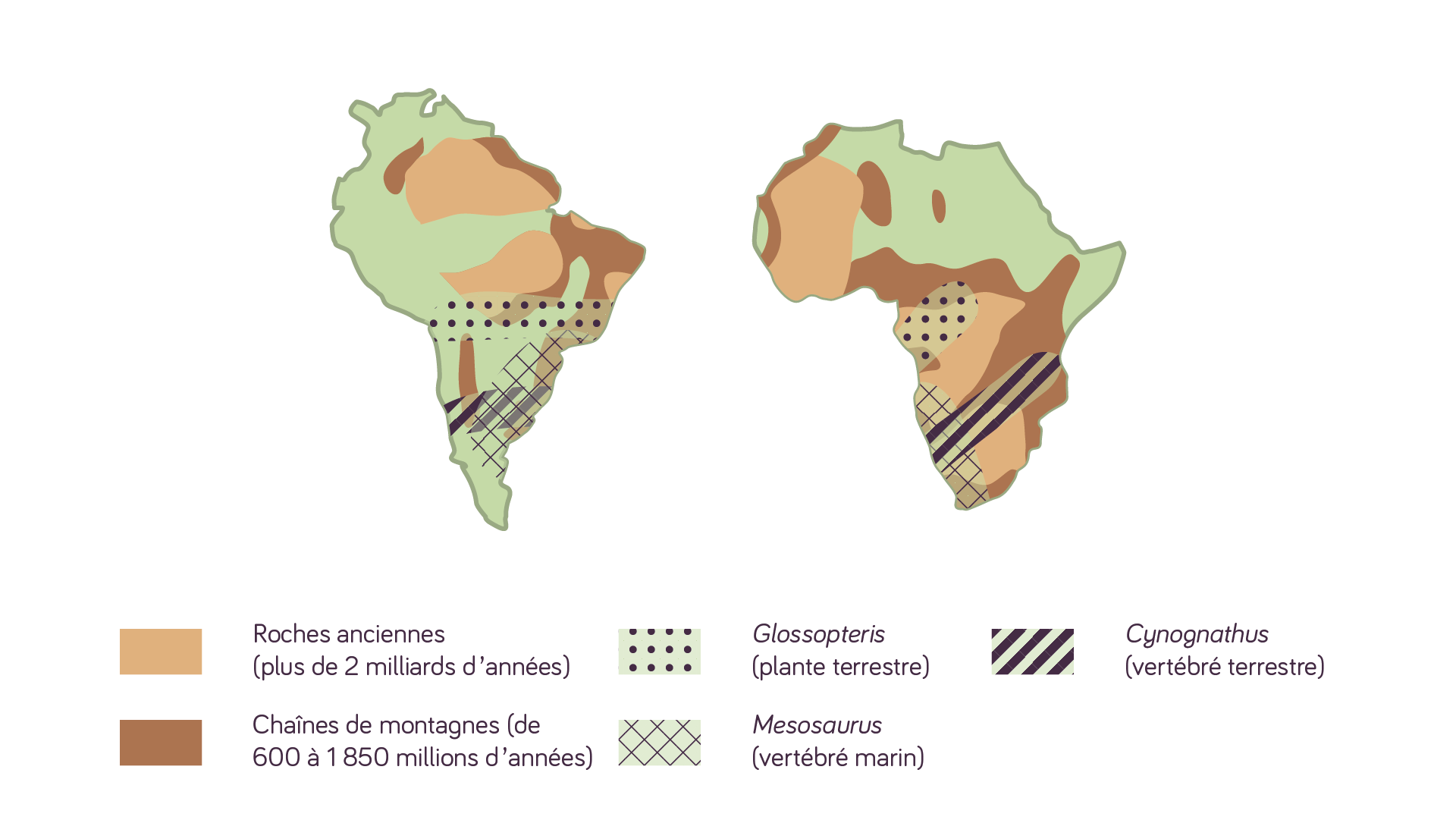 Observations de Wegener en Amérique du Sud et en Afrique