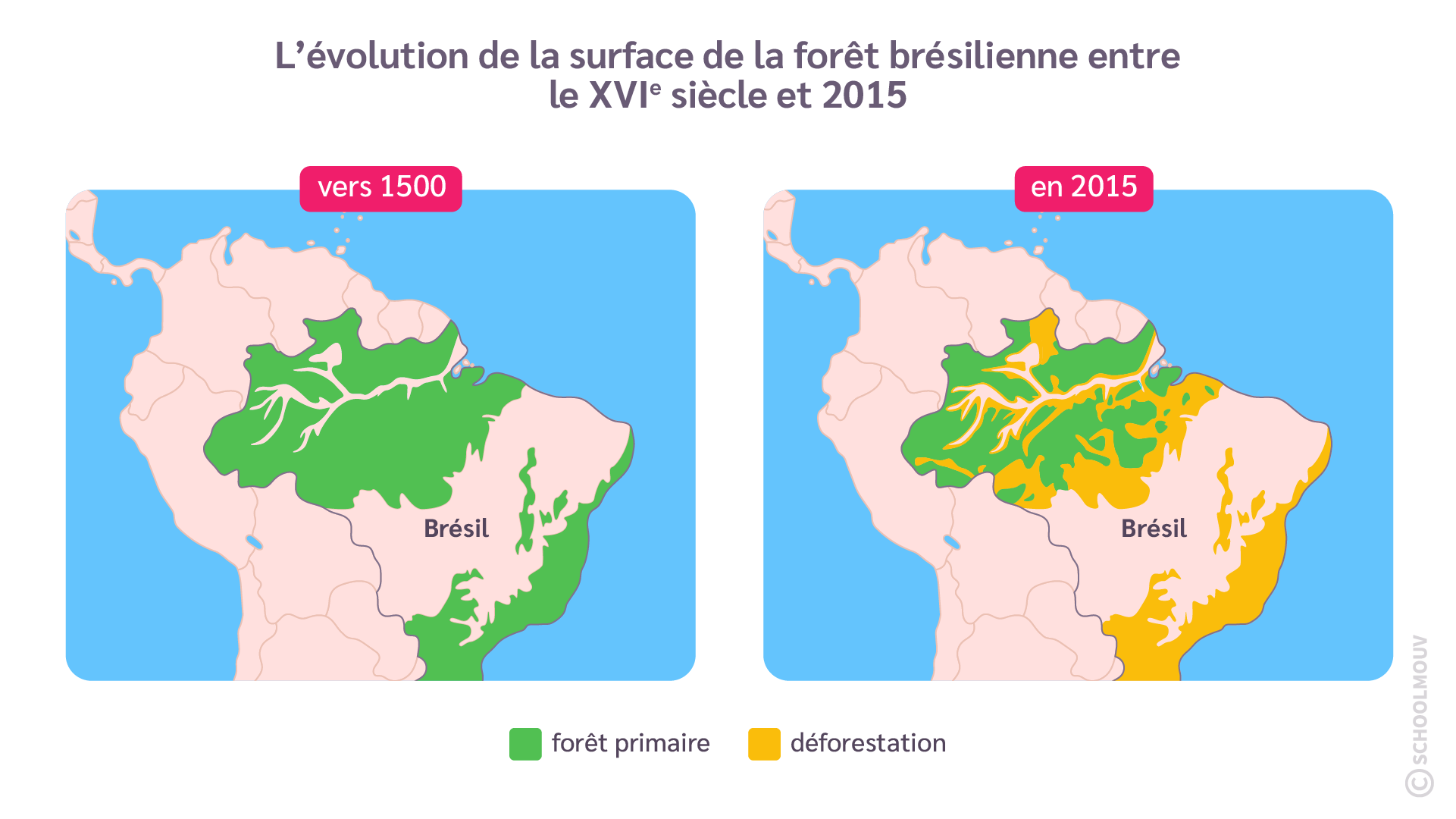Évolution de la surface de la brésilienne sous la pression anthropique