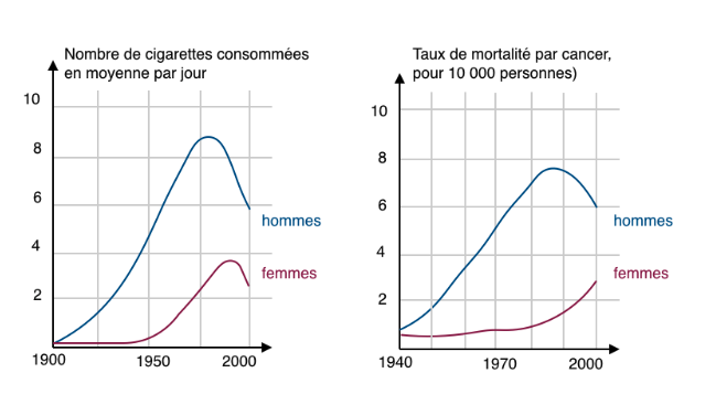 Évolution de la consommation journalière de cigarettes et mortalité par cancer du poumon en France