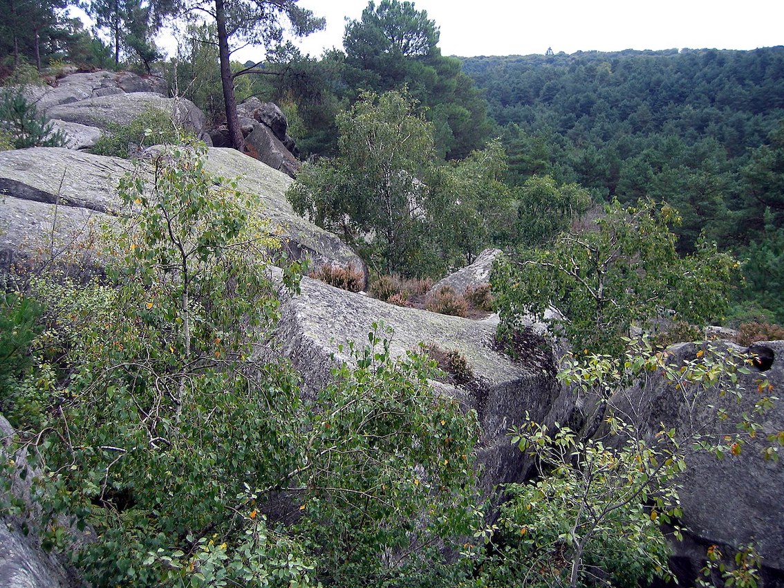 Vue des Gorges de Franchard dans la forêt de Fontainebleau