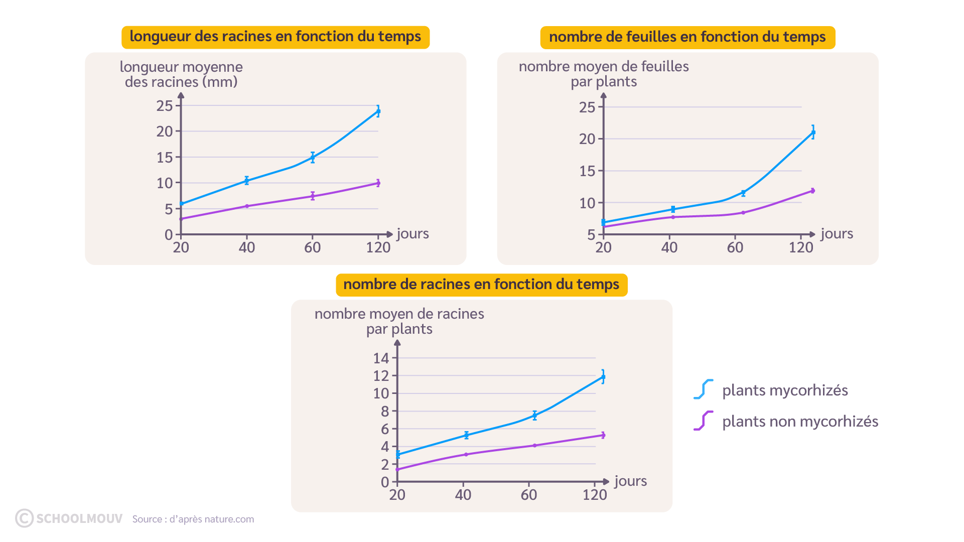 Comparaison de plusieurs paramètres de racines et feuilles de plants de rhododendrons non mycorhizés ou mycorhizés