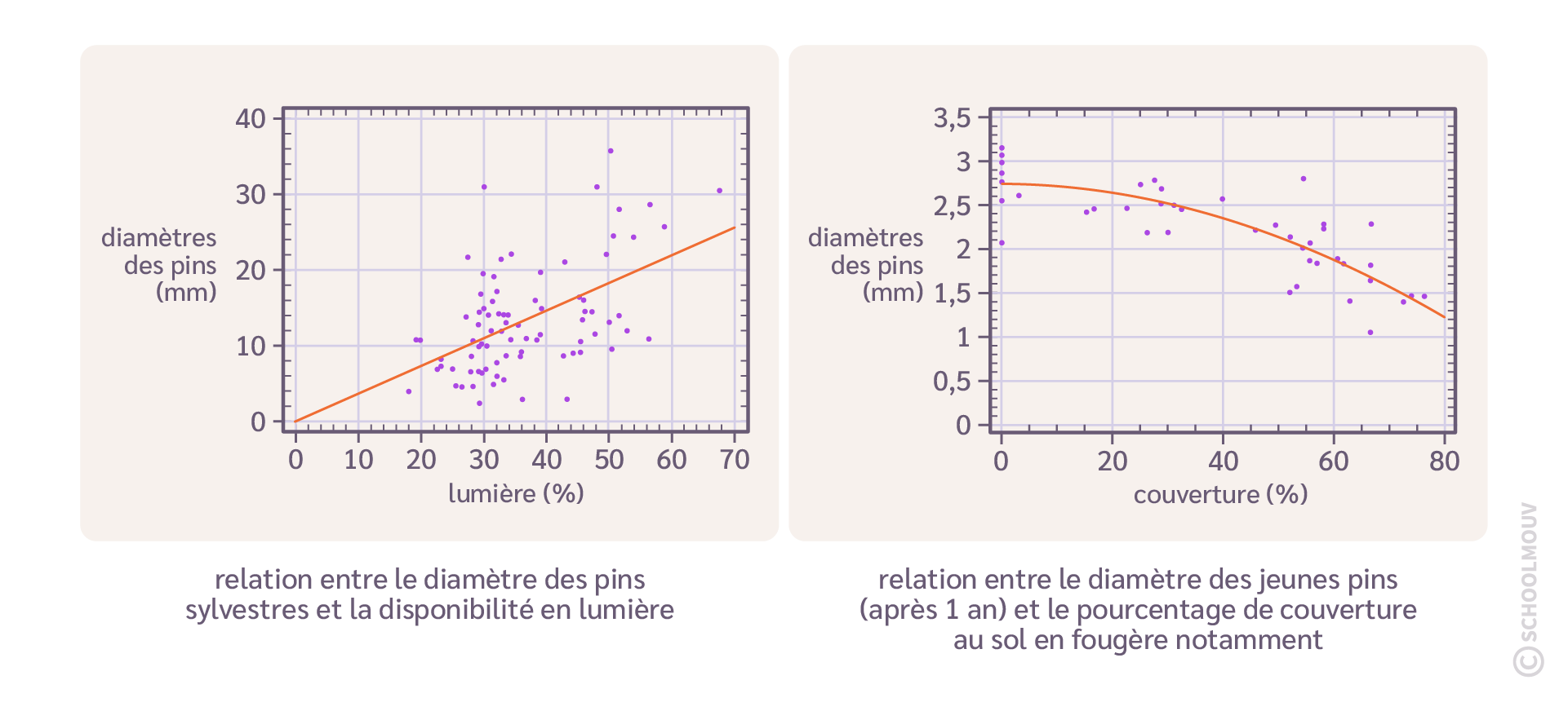 Alt texte