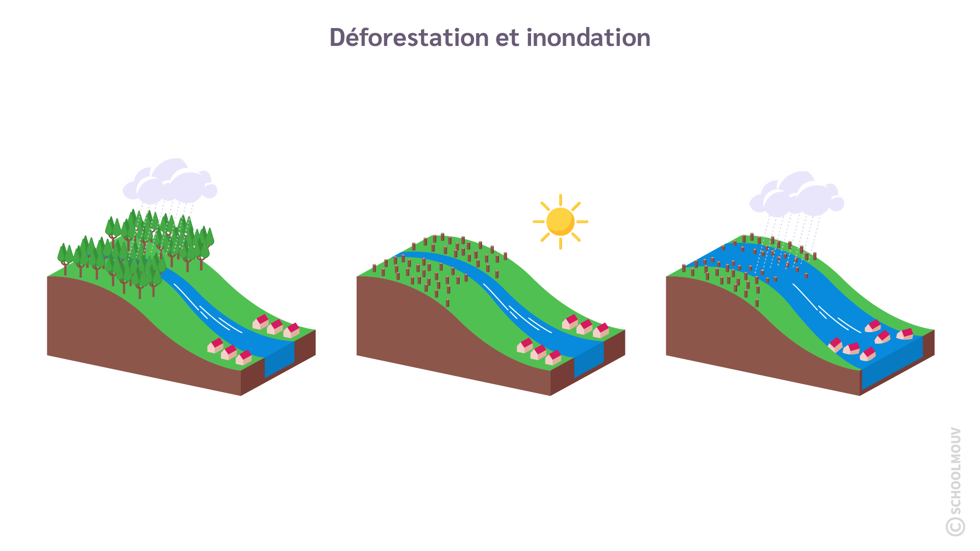 déforestation et inondation