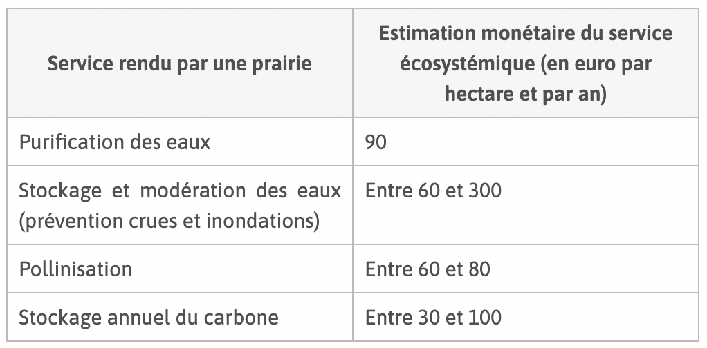 Alt texte