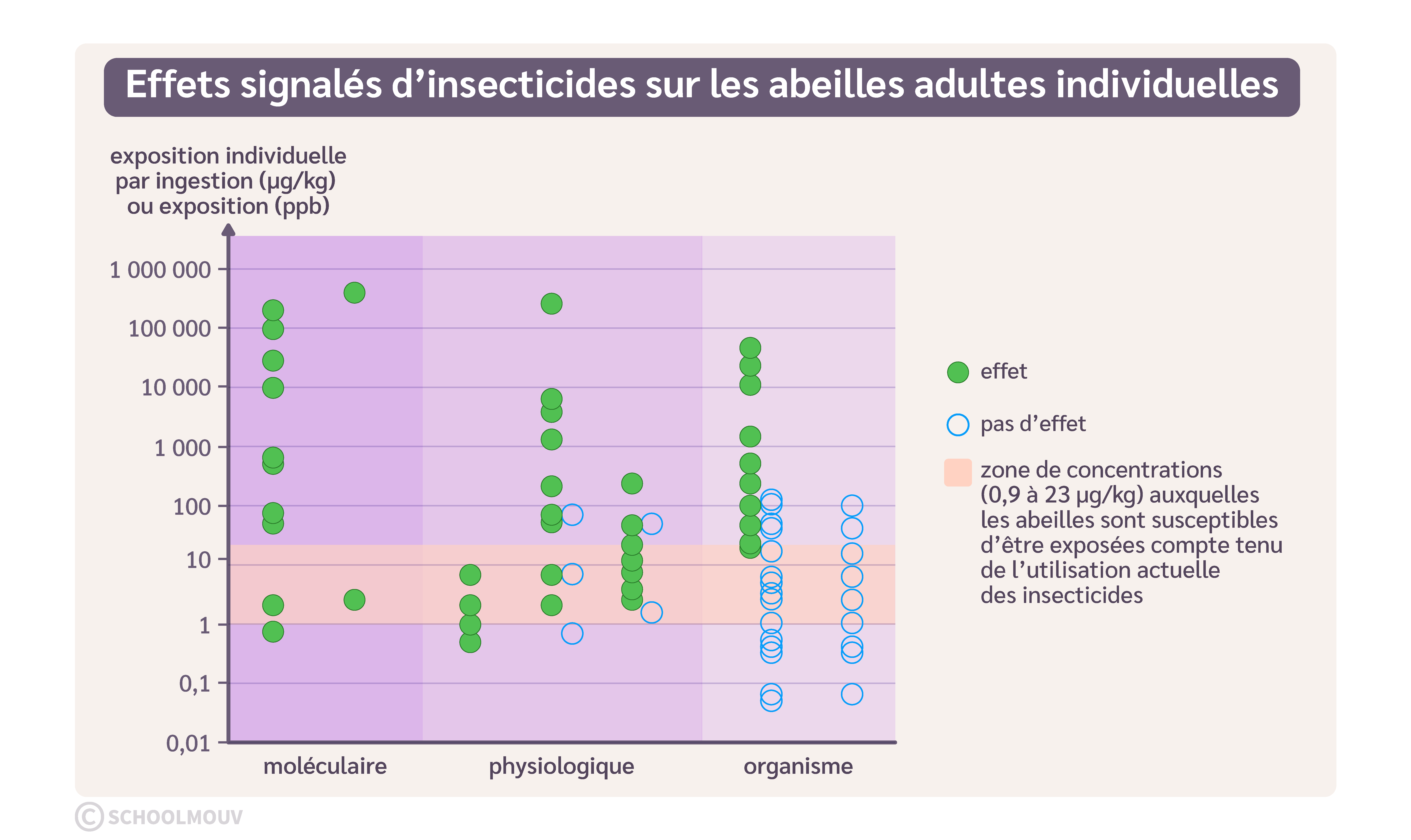 des effets négatifs sont observés sur les abeilles selon différentes concentrations d’insecticides à base