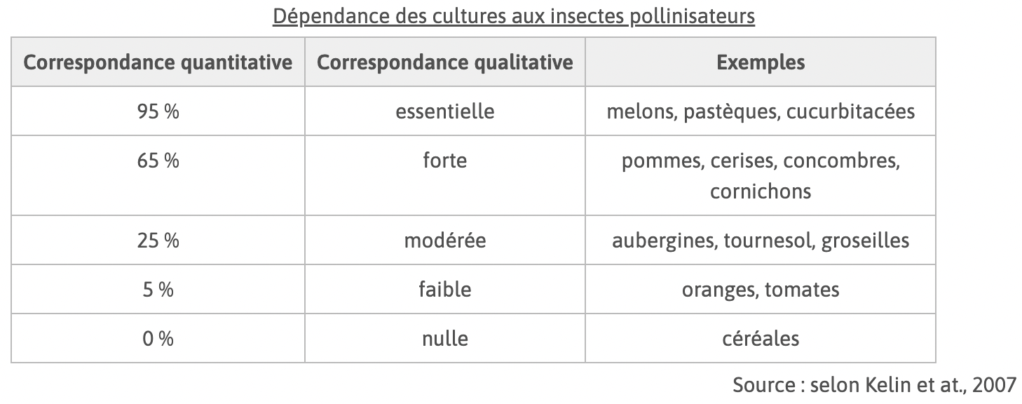 Alt texte