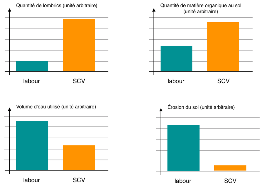 Comparaison de plusieurs facteurs entre des cultures labourées et des cultures sous couvert végétal après plusieurs années d’essais