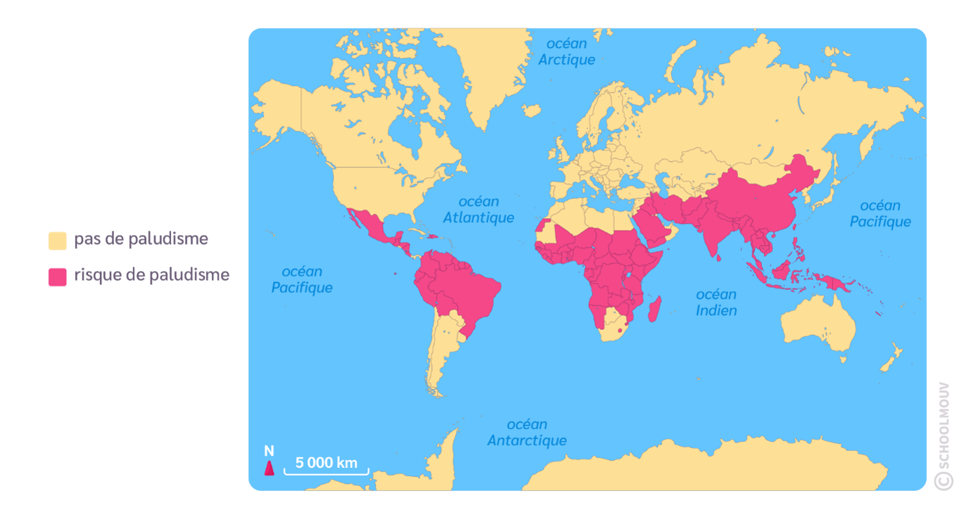 Répartition géographique du paludisme
