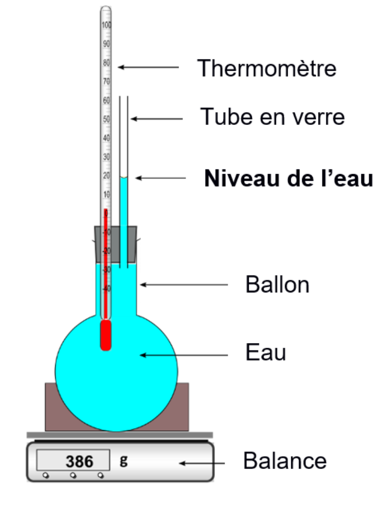 Sujet Brevet Sciences 2023 SchoolMouv Sujet Brevet Sciences 2023 SchoolMouv