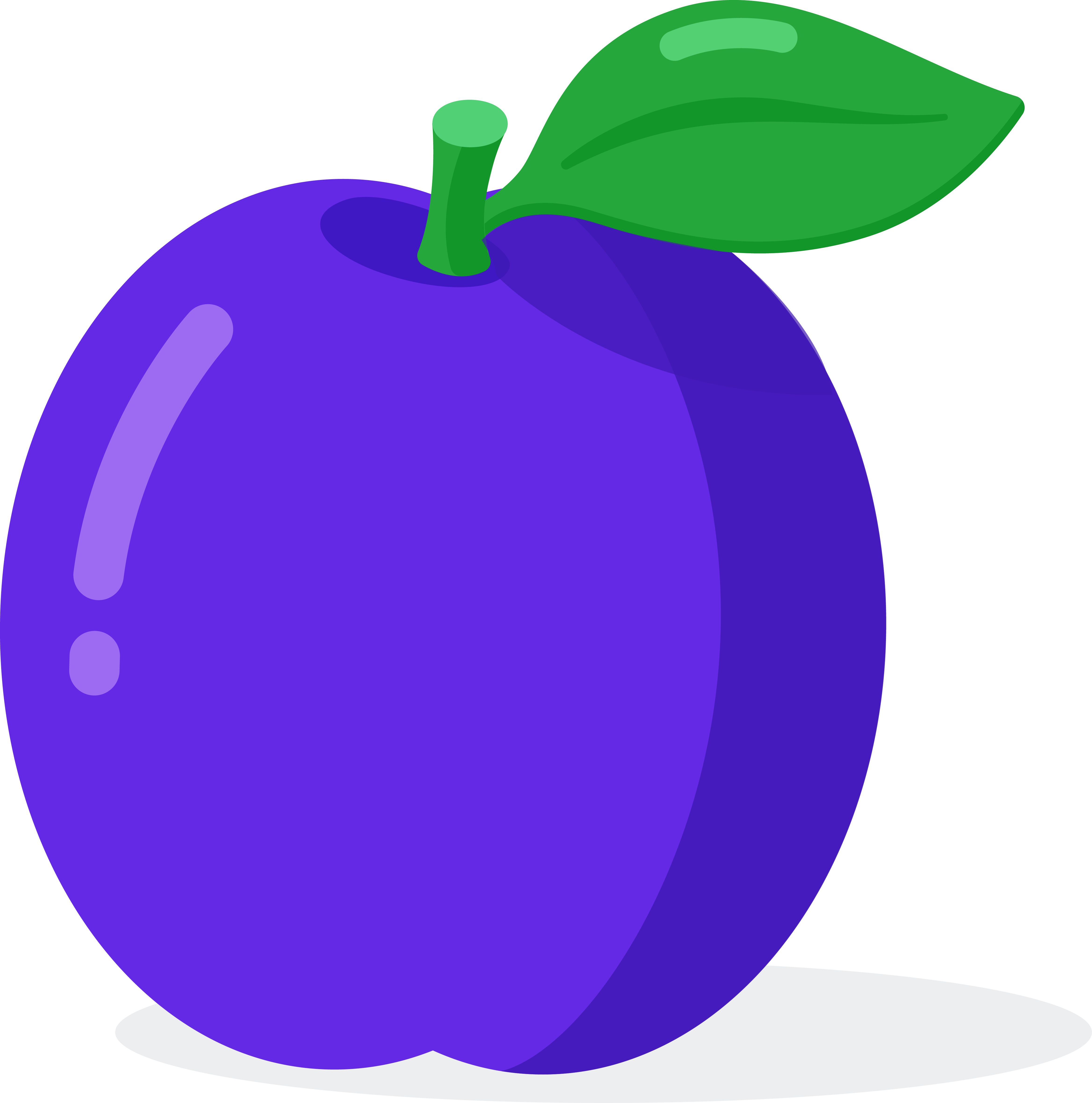 Les fruits Fiche de cours Anglais SchoolMouv