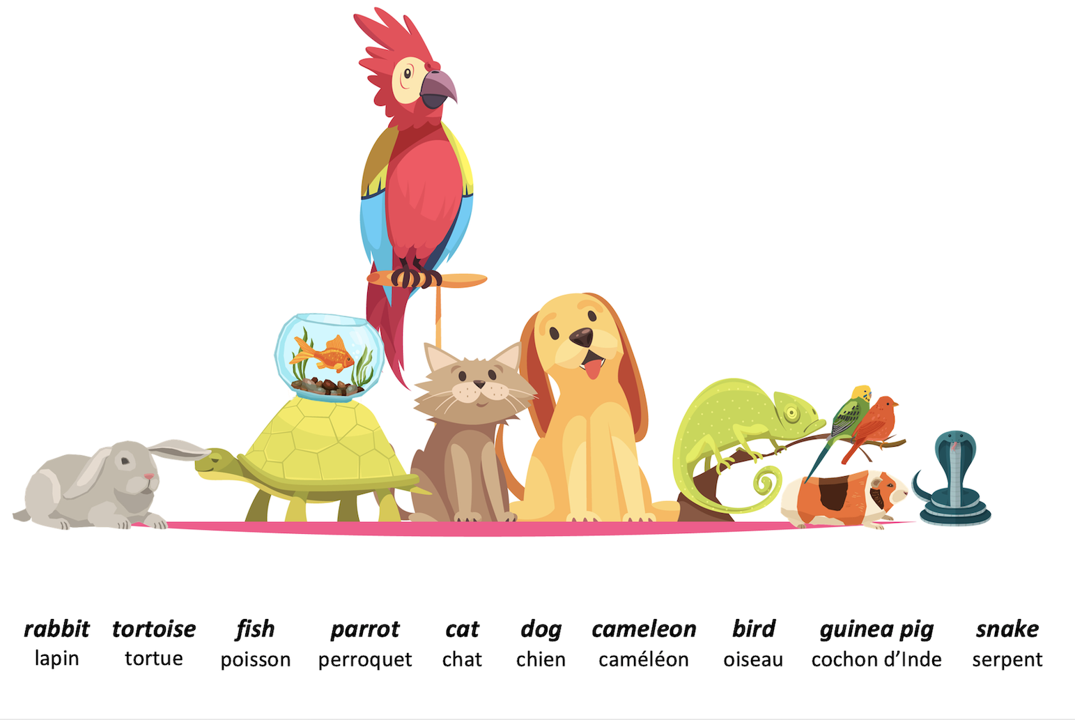Présenter sa famille, ses animaux Fiche de cours