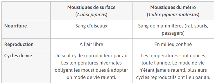 Alt texte