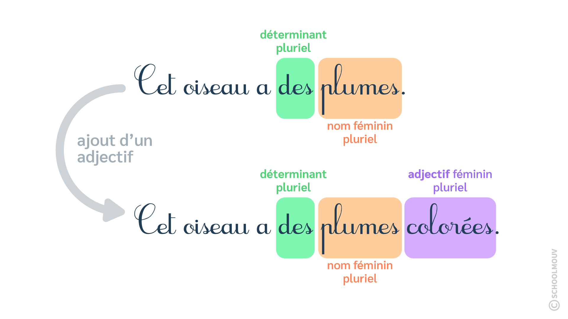 Cum Se Analizeaza Un Adjectiv L’adjectif : Fiche de cours - Français | SchoolMouv