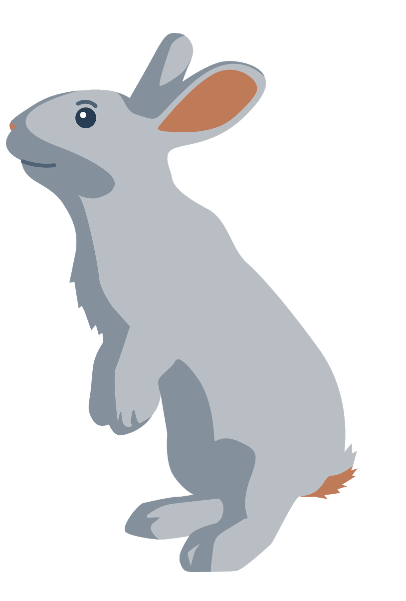 LAPIN se dit RABBIT en anglais