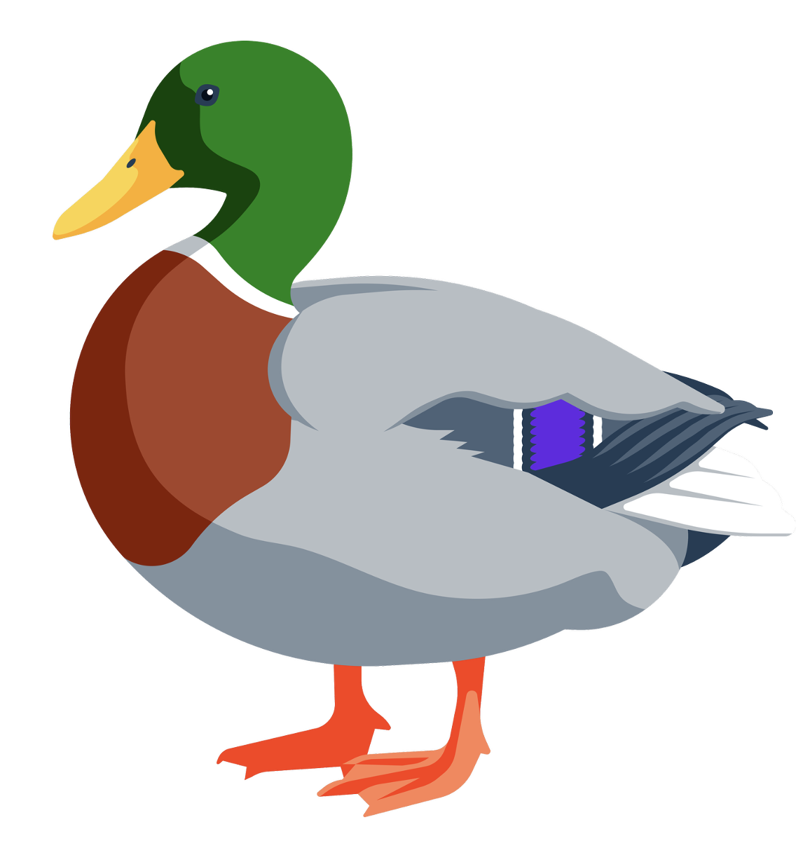 CANARD se dit DUCK en anglais