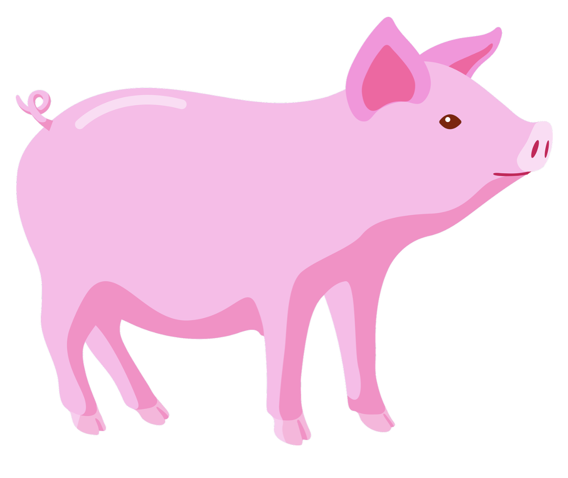 COCHON se dit PIG en anglais