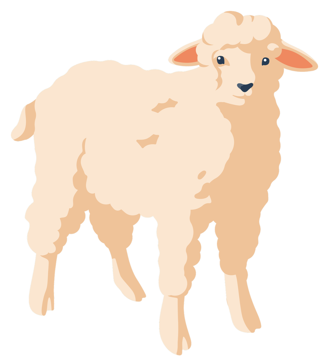 MOUTON se dit SHEEP en anglais