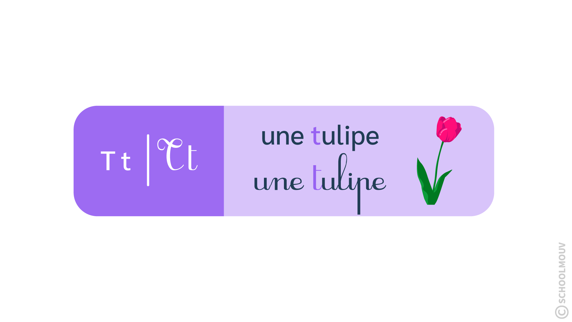la lettre t comme tulipe - apprentissage de la lecture - SchoolMouv