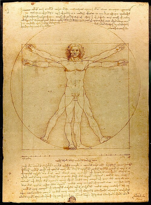 vitruve - de Vinci - français - première - SchoolMouv