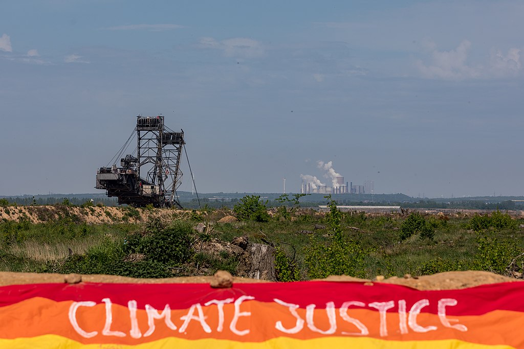 réactions à la déforestation