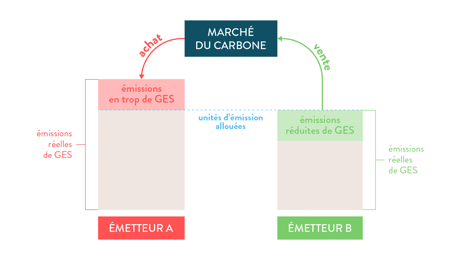 Le marché du carbone