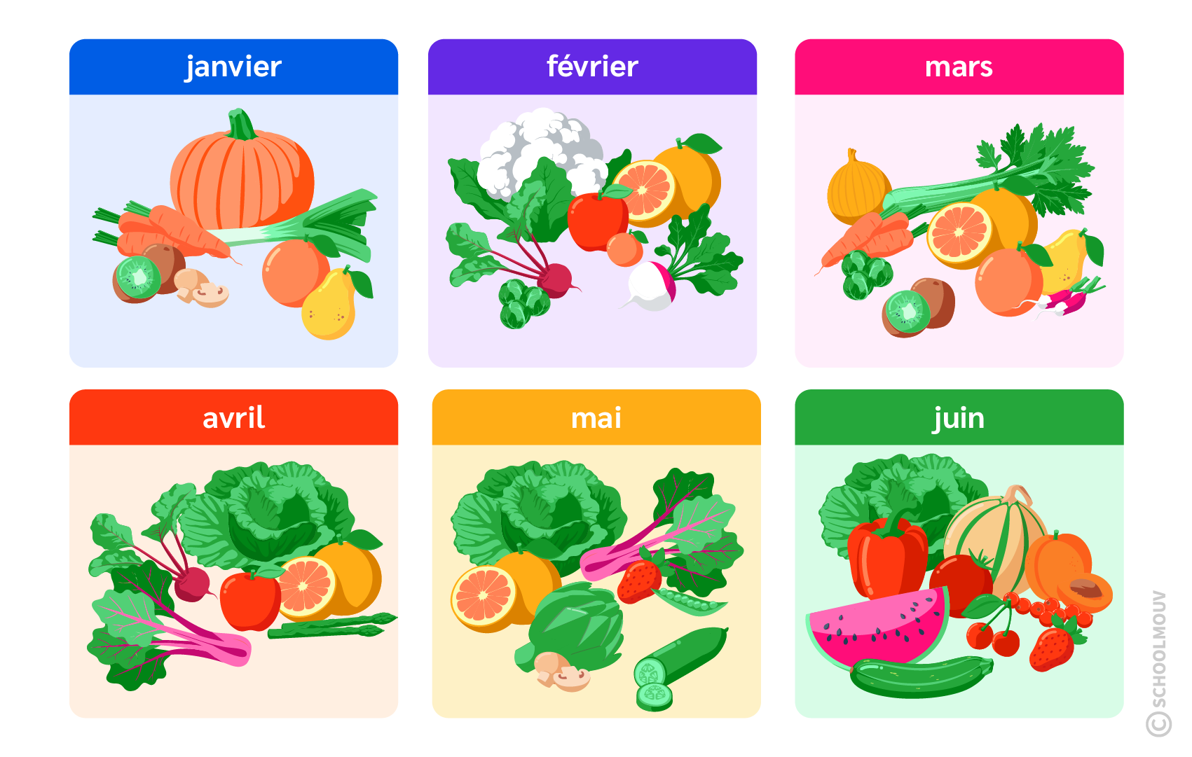 de saison - emc - ce1 - SchoolMouv