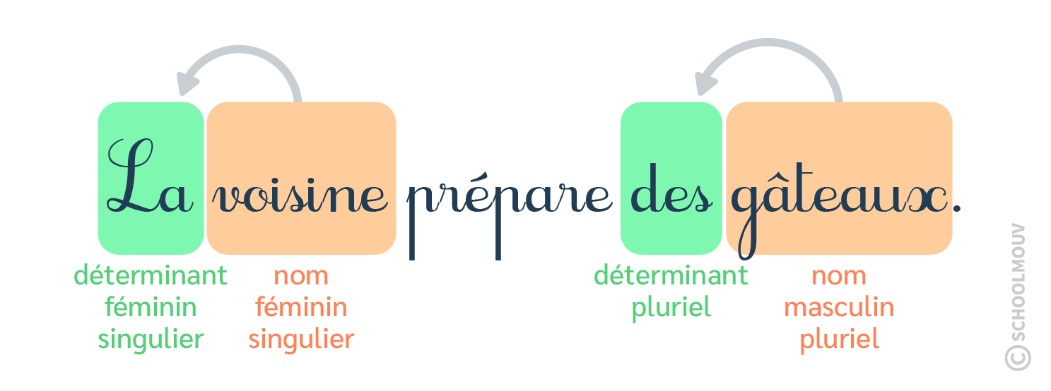 nom + déterminant - schoolmouv - français - CE1