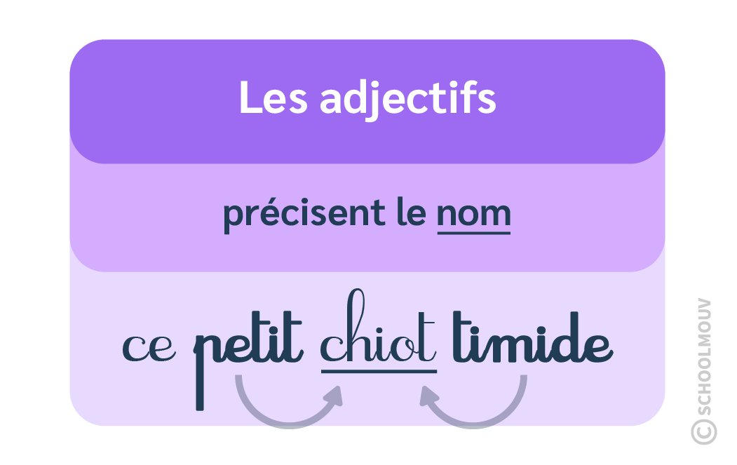 adjectifs - schoolmouv - français - CE1