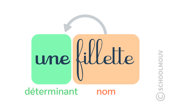 groupe nominal - schoolmouv - français - CE1