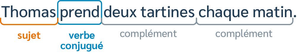 Exemple de phrase simple - SchoolMouv - Français - CE2