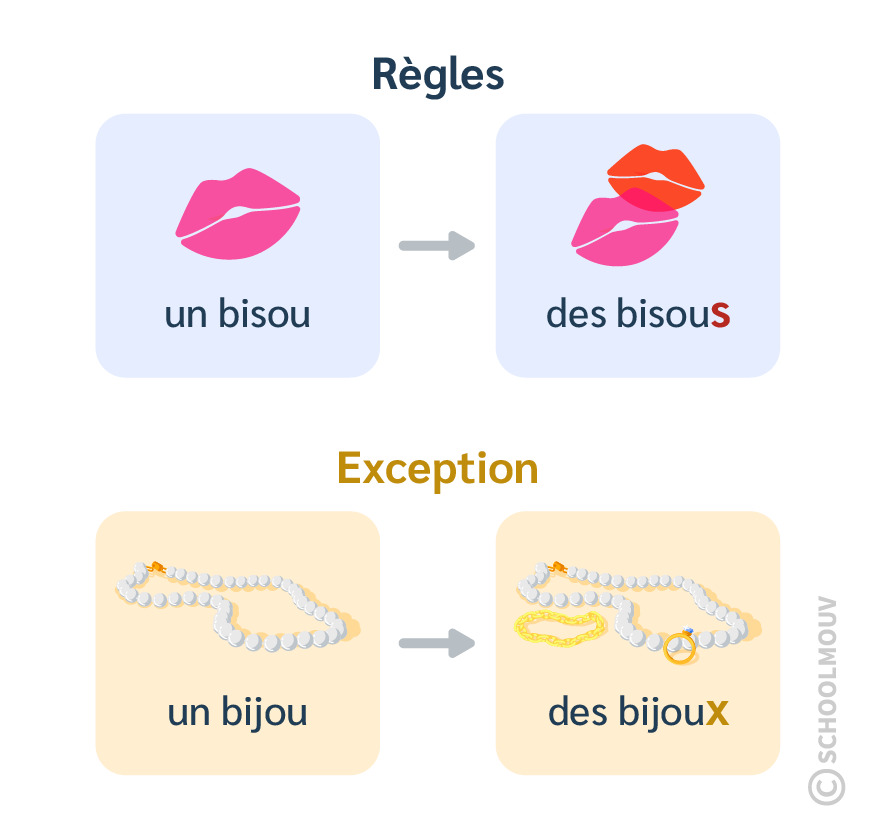 Pluriel noms en ou - SchoolMouv - Français - CE2