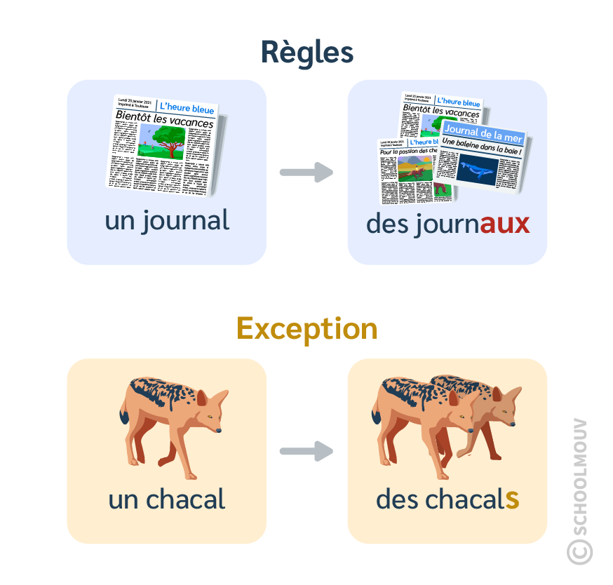 Pluriel noms en al - SchoolMouv - Français - CE2
