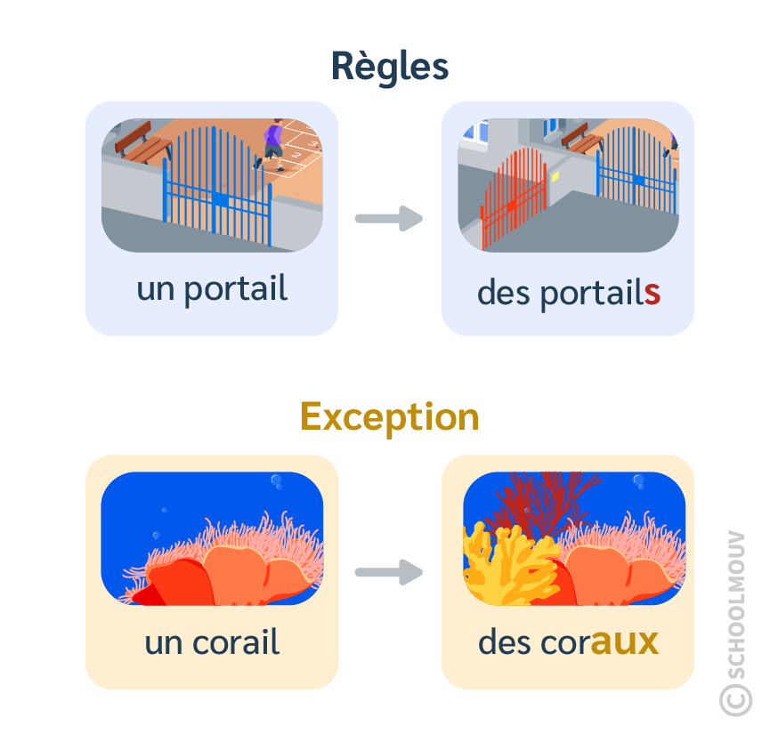 Pluriel noms en ail - SchoolMouv - Français - CE2