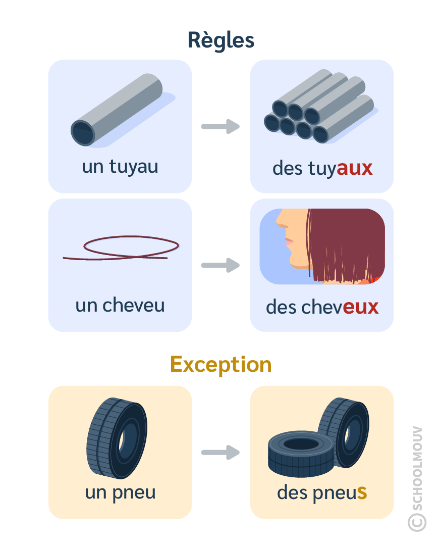 Pluriel noms en au eu - SchoolMouv - Français - CE2