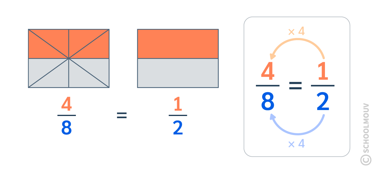 Maths CE2 - Schéma représentant les égalités entres les fractions 1/2 et 4/8. On multiplie le numérateur et le dénominateur par le même nombre.