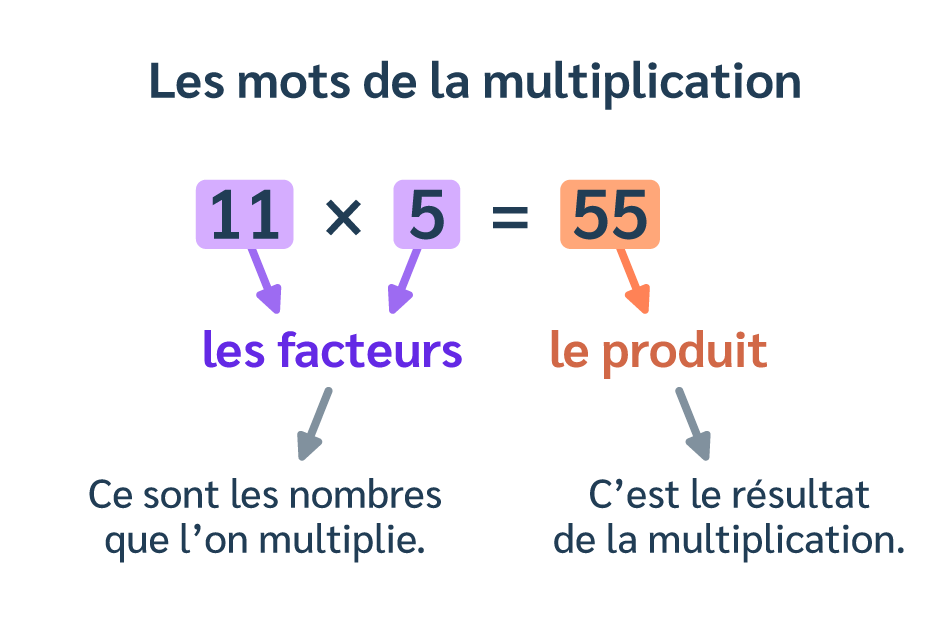 Effectuer une multiplication, c’est calculer le produit de 2 ou plusieurs facteurs