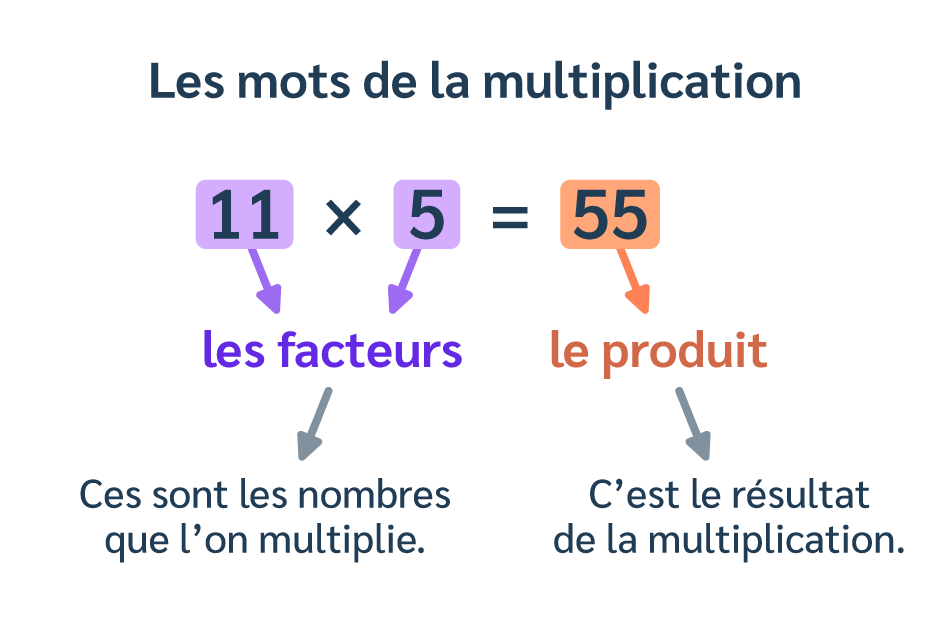 Effectuer une multiplication, c’est calculer le produit de 2 ou plusieurs facteurs