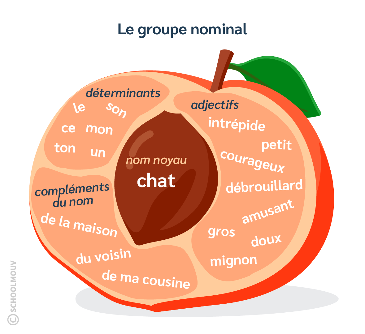 groupe nominal - français - CM1 - schoolmouv