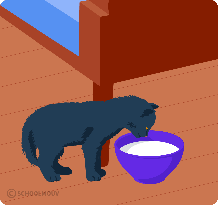 animaux - poésie - chaton - SchoolMouv - français - CM1