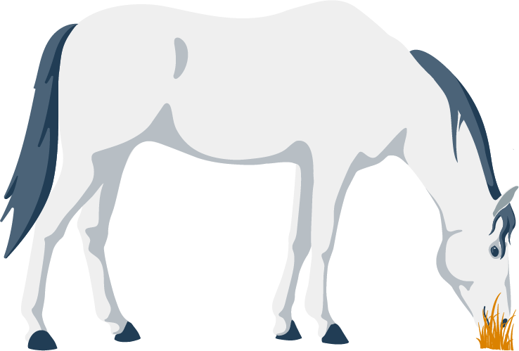 animaux - poésie - cheval courageux - SchoolMouv - français - CM1