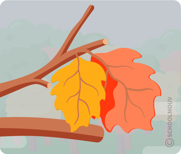 poésie - homophones - français - CM1 - SchoolMouv - automne