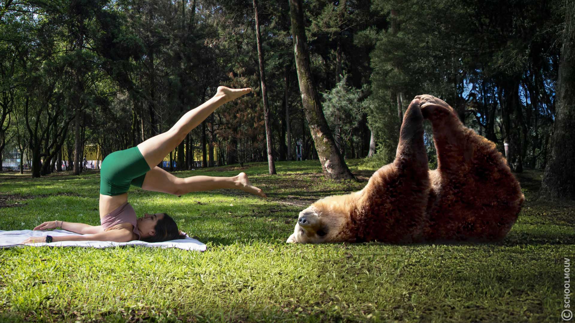 Repérer une image manipulée afin de se protéger des fausses informations