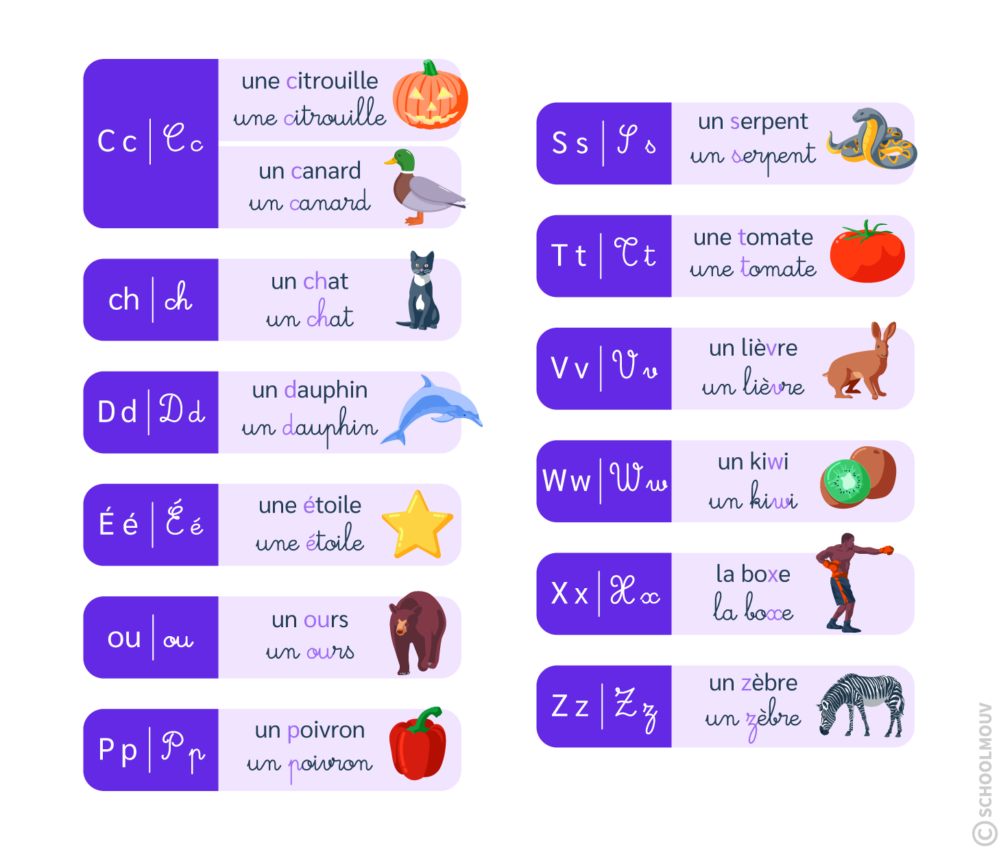 Bilan graphemes c cg d e ou p s t v w x z
