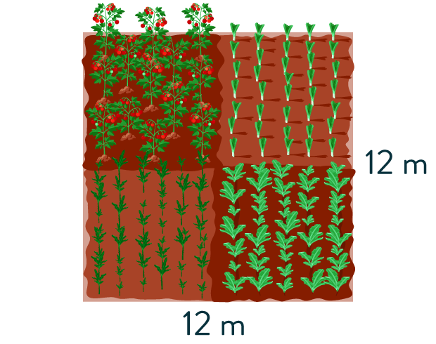 calculer des périmètres mathématiques sixième carré