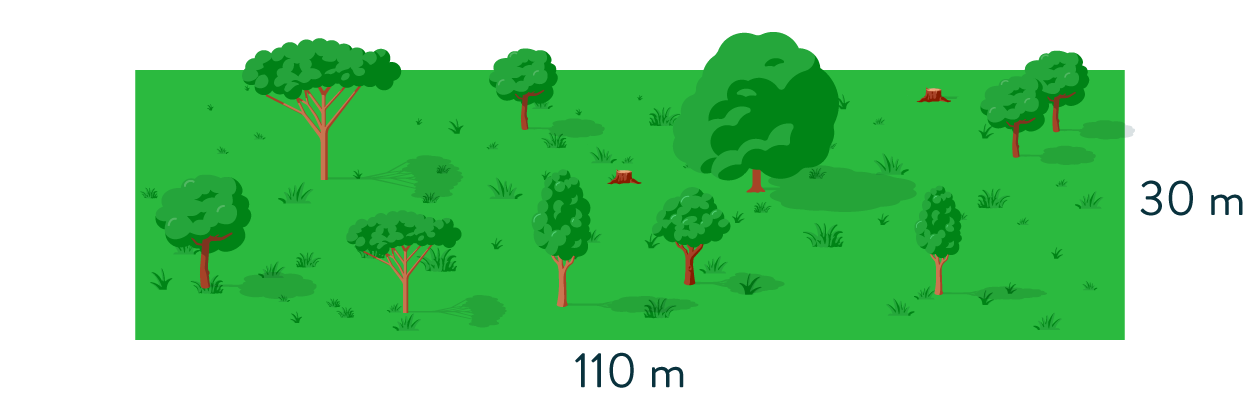 calculer des périmètres mathématiques sixième rectangle