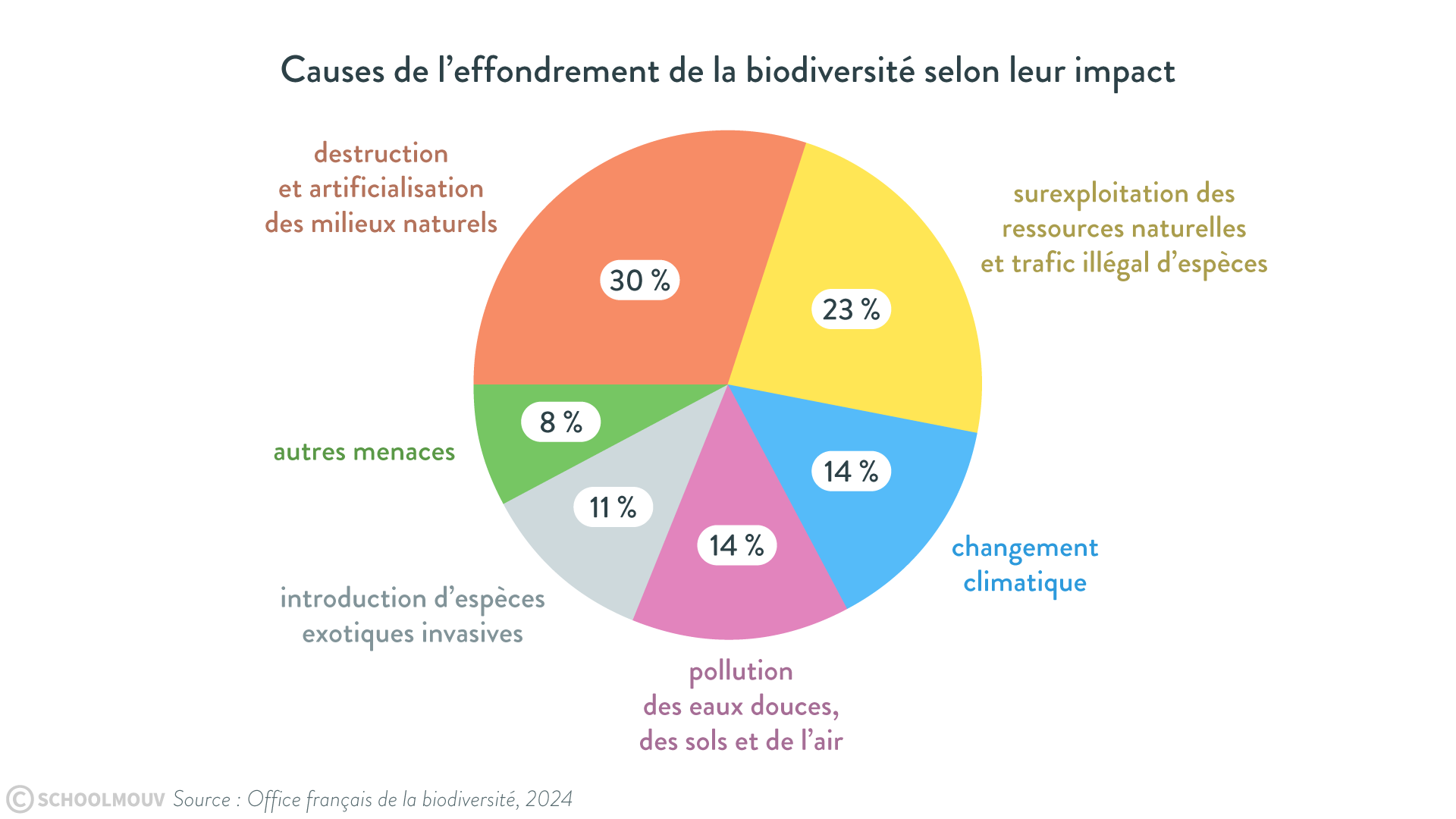 Diagramme circulaire