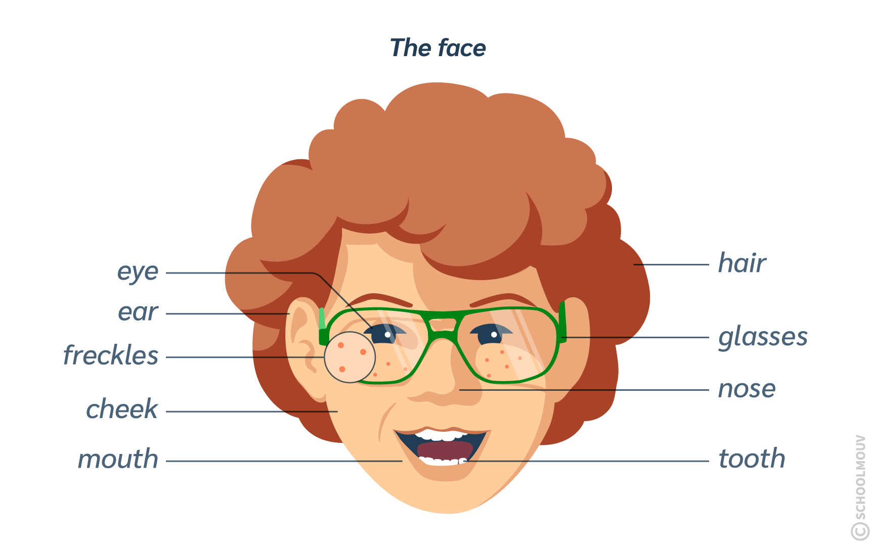 Identifier les parties du visage en anglais